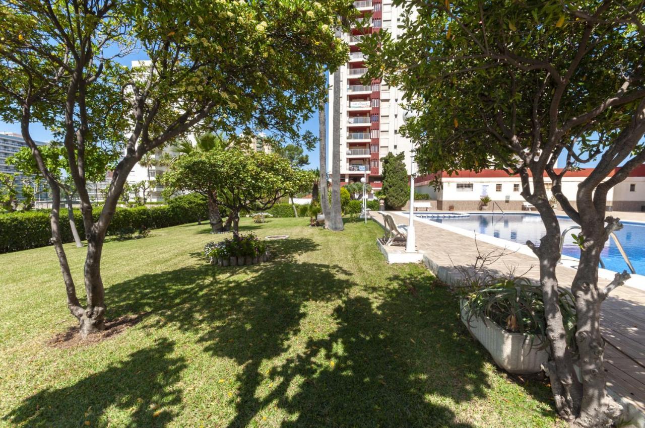 Ag Aquarium Leilighet Playa de Gandia Eksteriør bilde